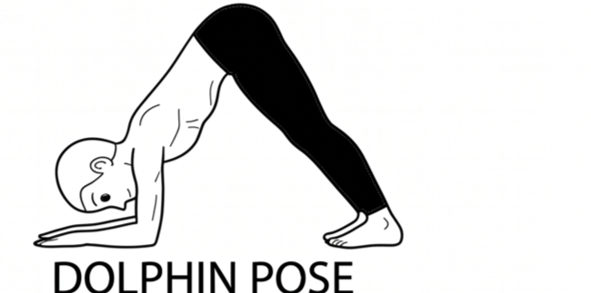 Visual sketch of Dolphin Pose (Catur Svanasana)